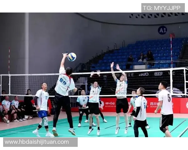 武汉排球队技术争议引发热议球迷与专家观点交锋激烈