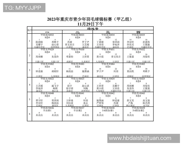 赛后分析：北京羽毛球队与重庆羽毛球队个人能力的全面对比与评估